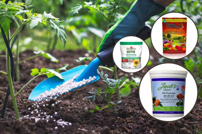 Fertilizer plants flower macronutrients fertilisers nursery right choose examples type plant thespruce